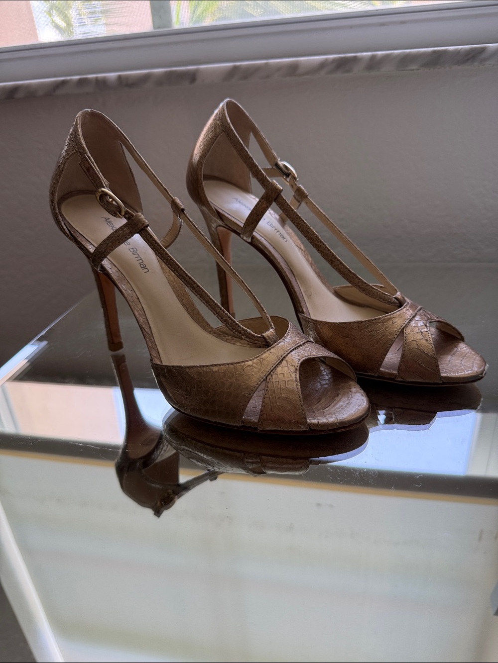 Alexandre Birman Metallic  T-Strap Stiletto Sandals